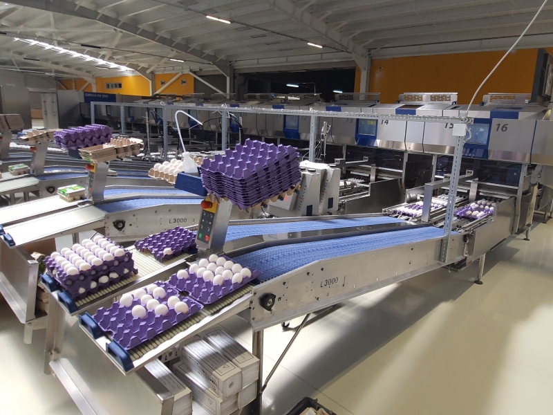 Sektörümüzün değerli yumurta üreticisi Büyük Şişmanlar, MOBA Makinelerine yeni bir MOBA daha ekledi.
